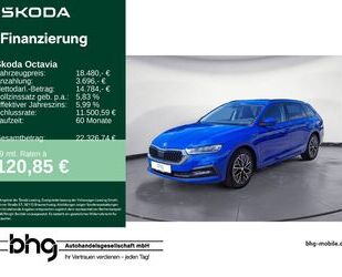 Skoda Octavia Gebrauchtwagen