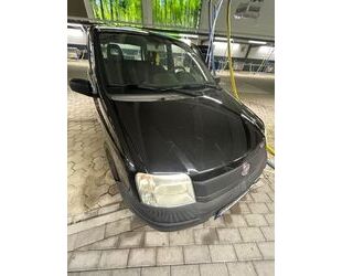 Fiat Panda Gebrauchtwagen