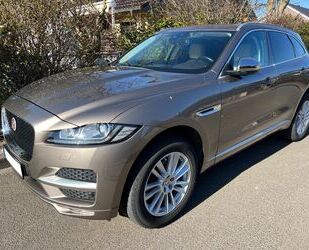 Jaguar F-Pace Gebrauchtwagen