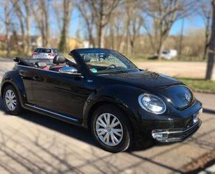 VW Beetle Gebrauchtwagen