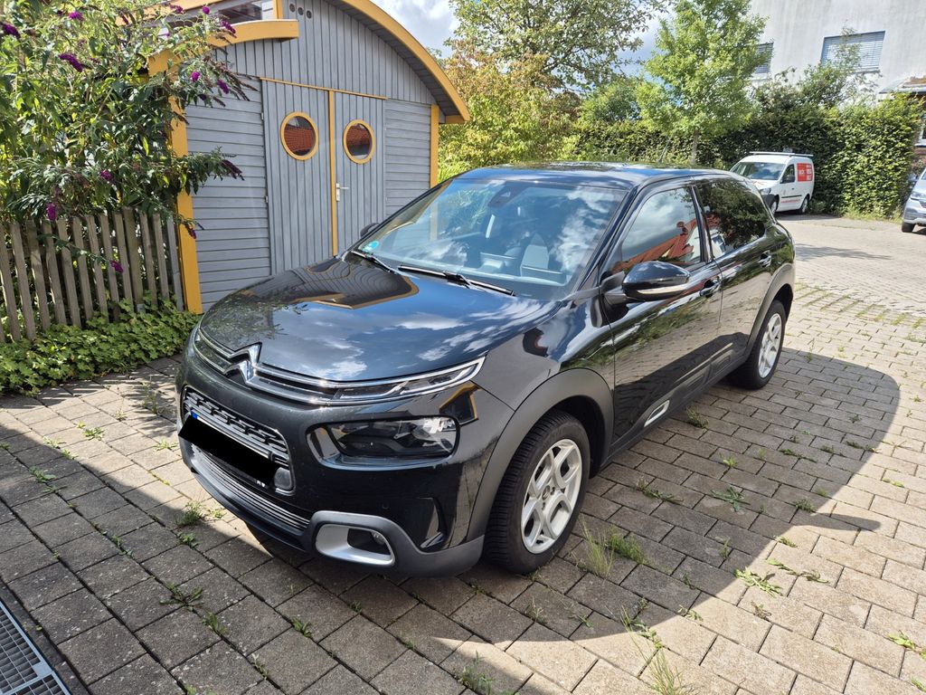 Bild 1