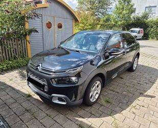 Citroen C4 Cactus Gebrauchtwagen