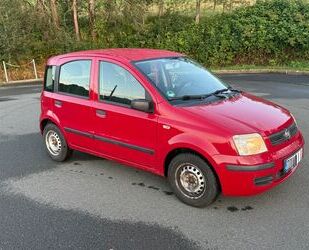 Fiat Panda Gebrauchtwagen