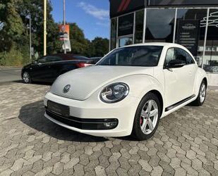 VW Beetle Gebrauchtwagen