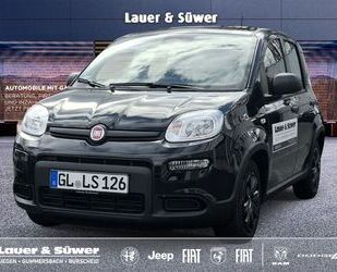 Fiat Panda Gebrauchtwagen