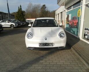 ORA Funky Cat Gebrauchtwagen