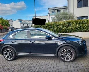 Kia XCeed Gebrauchtwagen