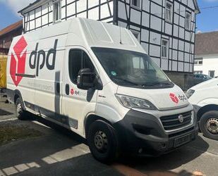 Fiat Ducato Gebrauchtwagen