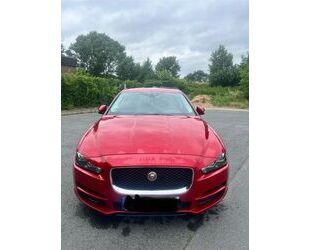 Jaguar XE Gebrauchtwagen