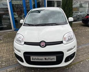 Fiat Panda Gebrauchtwagen