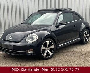 VW Beetle Gebrauchtwagen