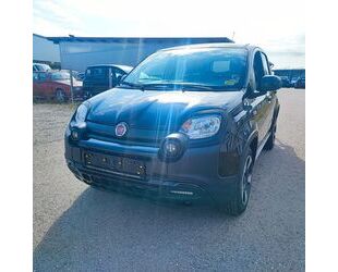 Fiat Panda Gebrauchtwagen