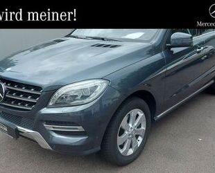 Mercedes-Benz ML 250 Gebrauchtwagen