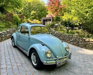 VW Käfer Gebrauchtwagen