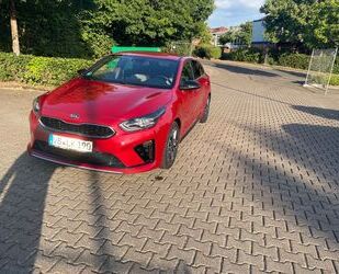 Kia pro ceed / ProCeed Gebrauchtwagen