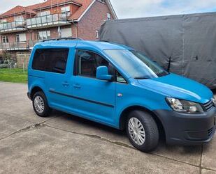 VW Caddy Gebrauchtwagen