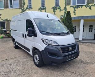 Fiat Ducato Gebrauchtwagen