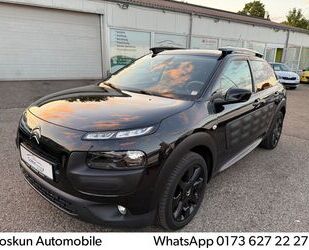 VW C4 Cactus 