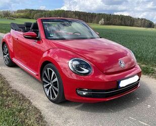 VW Beetle Gebrauchtwagen