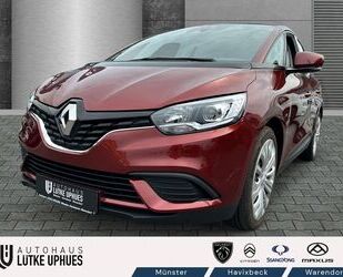 Renault Scenic Gebrauchtwagen