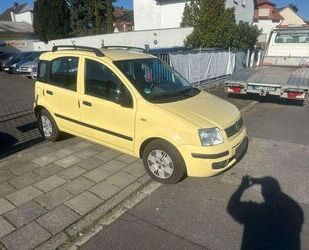 Fiat Panda Gebrauchtwagen
