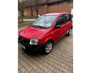 Fiat Panda Gebrauchtwagen