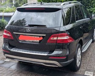 Mercedes-Benz ML 350 Gebrauchtwagen