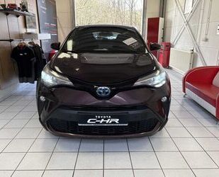 Toyota C-HR Gebrauchtwagen