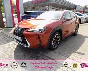 Lexus UX Gebrauchtwagen