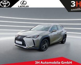 Lexus UX Gebrauchtwagen
