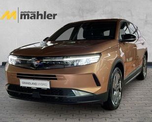 Opel Grandland (X) Gebrauchtwagen