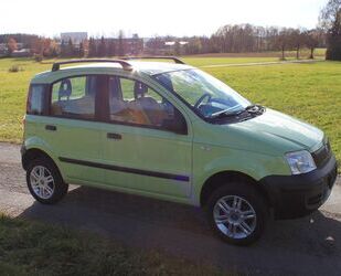 Fiat Panda Gebrauchtwagen