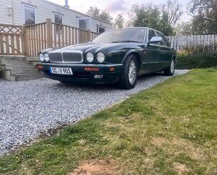 Jaguar Daimler Gebrauchtwagen