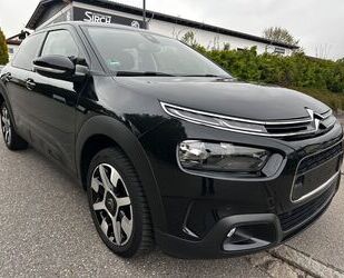 Citroen C4 Cactus Gebrauchtwagen
