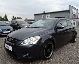 Kia pro ceed / ProCeed Gebrauchtwagen