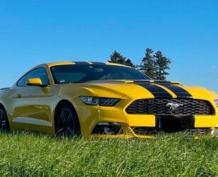 Ford Mustang Gebrauchtwagen
