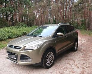 Ford Kuga Gebrauchtwagen
