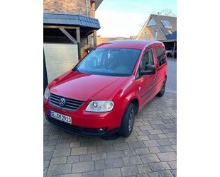 VW Caddy Gebrauchtwagen