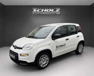 Fiat Panda Gebrauchtwagen