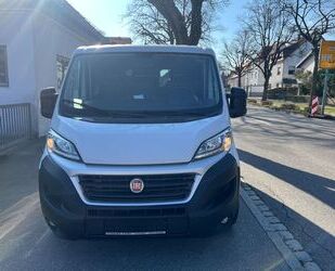 Fiat Ducato Gebrauchtwagen