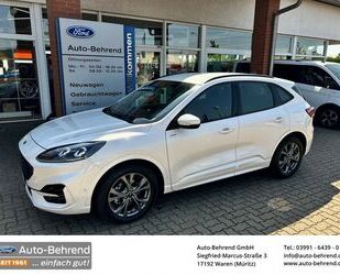 Ford Kuga Gebrauchtwagen