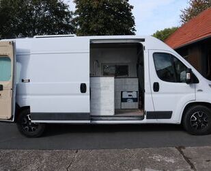 Fiat Ducato Gebrauchtwagen