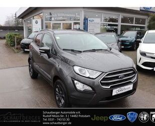 Ford EcoSport Gebrauchtwagen