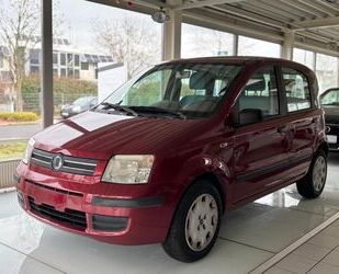 Fiat Panda Gebrauchtwagen