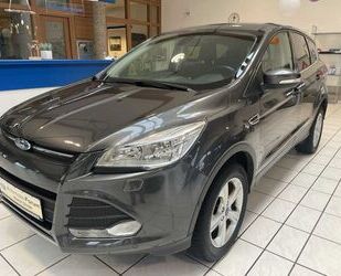 Ford Kuga Gebrauchtwagen