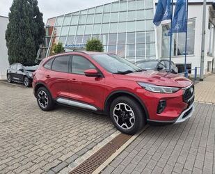 Ford Kuga Gebrauchtwagen