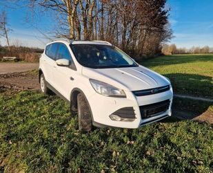 Ford Kuga Gebrauchtwagen