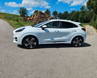 Ford Puma Gebrauchtwagen