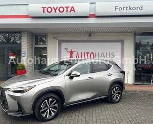 Lexus NX 450h Gebrauchtwagen