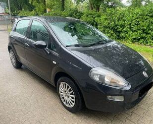 Fiat Punto Gebrauchtwagen